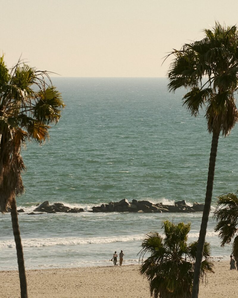 Summer in Venice Beach
