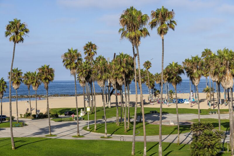 Ocean View King Room
