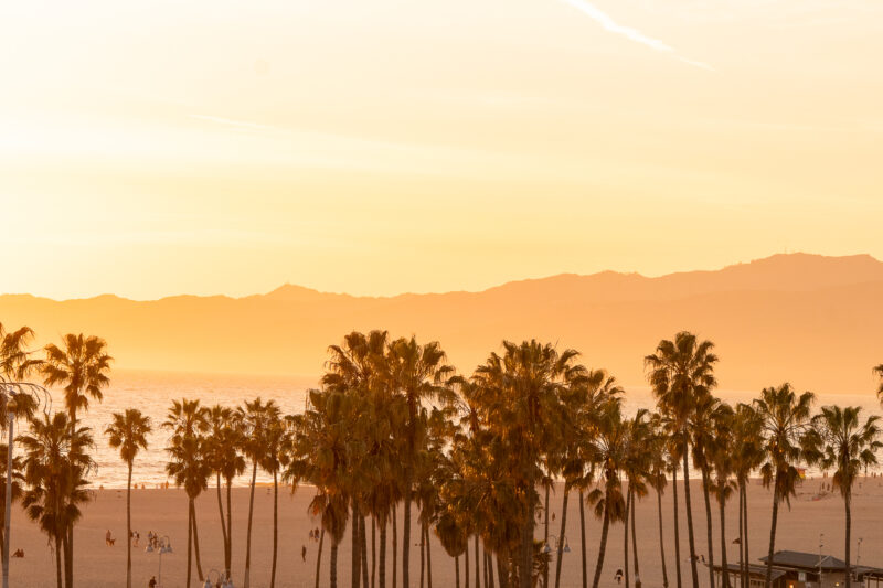 Fall in Venice Beach
